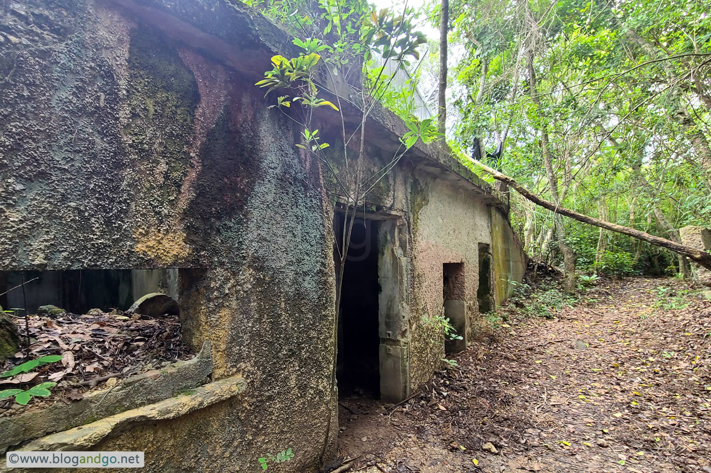 Mount Davis Battery - Original Camouflage?
